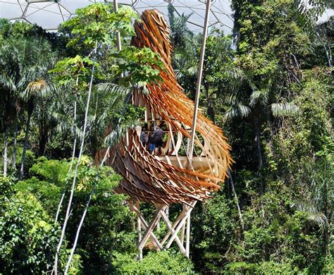  The Eden Project: A Breathtaking Celebration of Biodiversity and Sustainable Living!